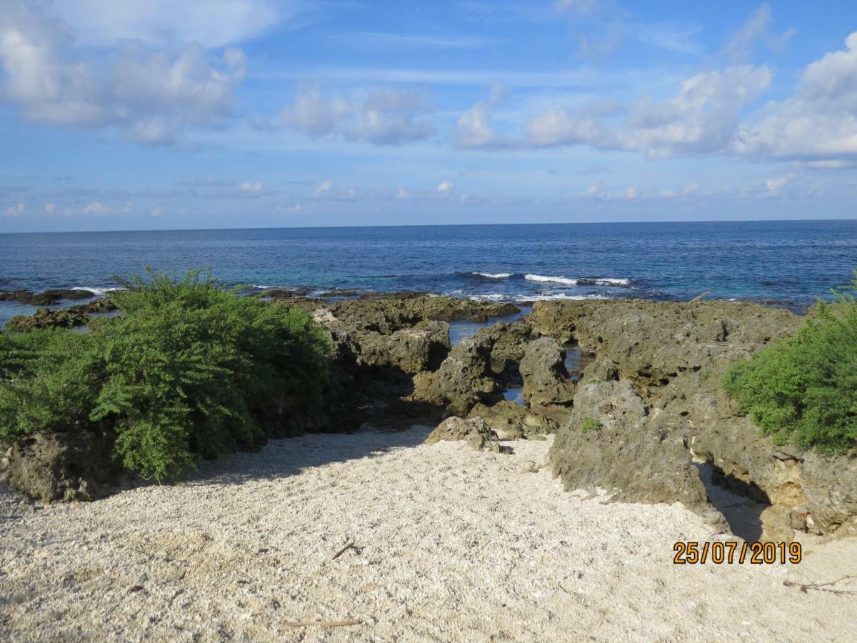 Mishe B&B也可包棟民宿 Cape Eluanbi Eksteriør billede