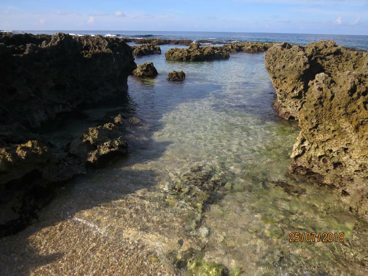 Mishe B&B也可包棟民宿 Cape Eluanbi Eksteriør billede